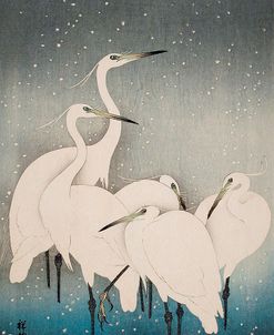 Egrets – Ohara Shoson