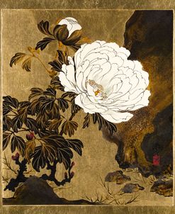 Lacquered Peonies – Shibata Zeshin