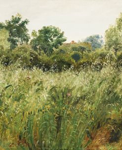 Field of Oats – P. C. Skovgaard
