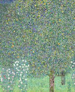 Rose Bush – Gustav Klimt
