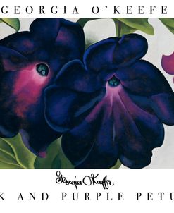 O’Keefe – Black and Purple Petunias Poster
