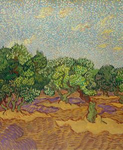Olive Trees – Vincent Van Gogh