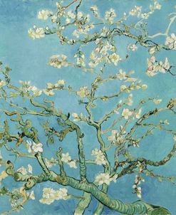 Almond Blossom – Vincent Van Gogh