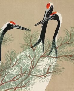 Cranes from Momoyogusa – Kamisaka Sekka