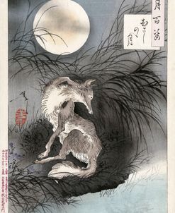 Fox And The Moon – Tsukioka Yoshitoshi