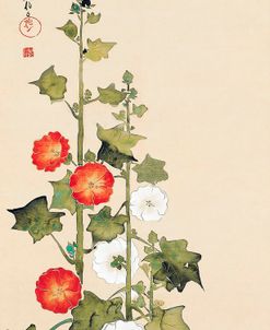 Japanese Hollyhock Flowers – Sakai Hōitsu