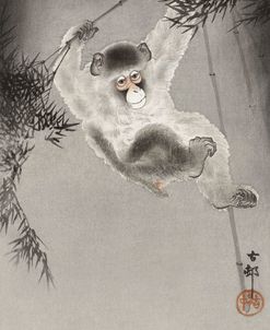 Monkey, Hanging From Bamboo Branch – Ohara Koson