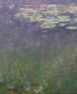 Agapanthus – Claude Monet