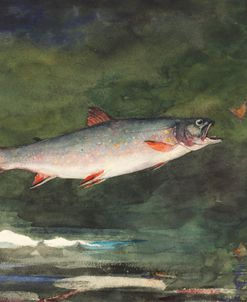 Leaping Trout – Winslow Homer