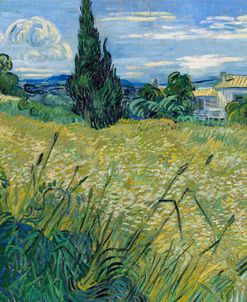 Green Wheat With Cypress – Vincent van Gogh