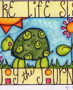 302_Color_Turtle