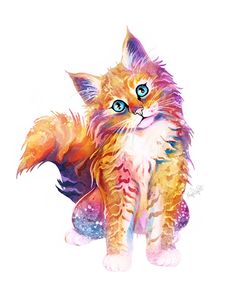 Pets- Orange Kitten