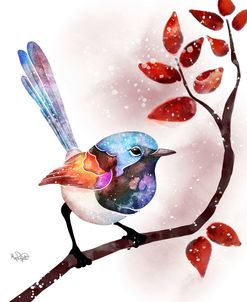 Songbirds- Fairywren Red Leaves