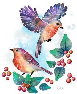 Songbirds- Euro Robins