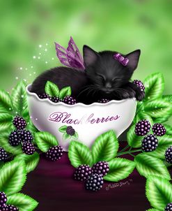 Blackberry Kitten