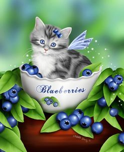 Blueberry Kitten