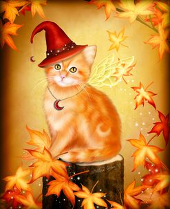 Autumn Cat Magic