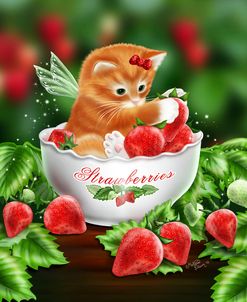 Strawberry Kitten