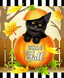 Hello Fall Cat