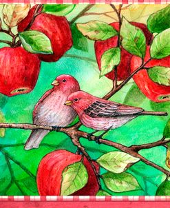Red Finches With Apples