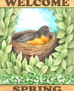 Welcome spring robin