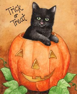 Trick Or Treat Black Cat