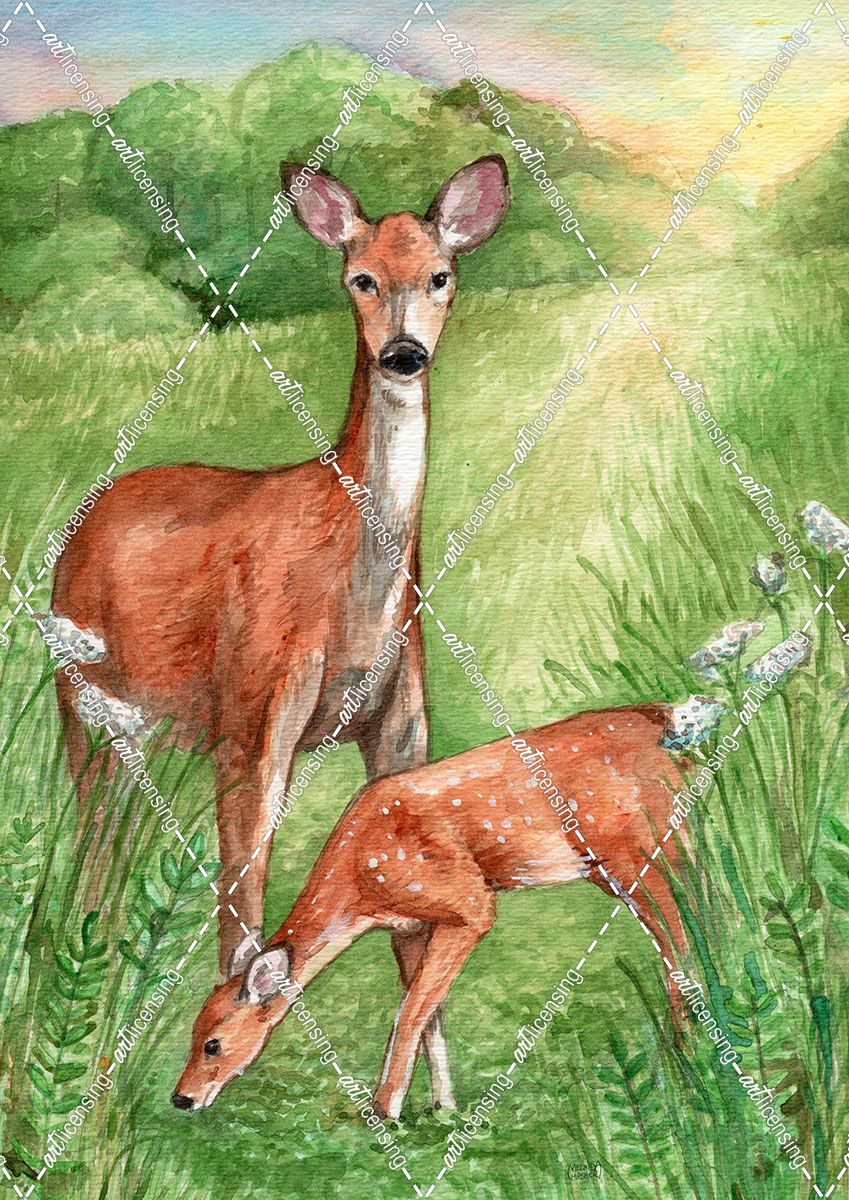 New Mother and Fawn