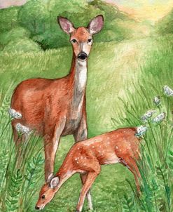 New Mother and Fawn