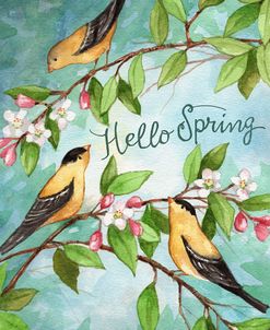 Hello Spring