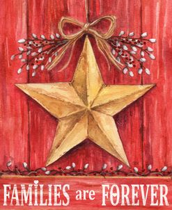 Gold Barn Star Families Are Forever