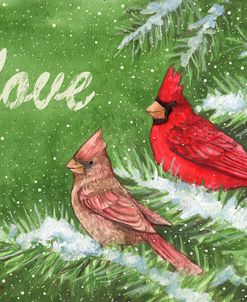 Cardinals Love Winter