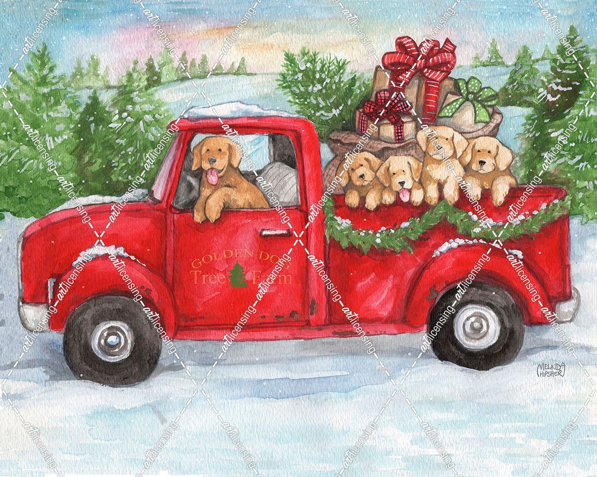 Goldens in Truck with Christmas Trees