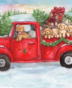 Goldens in Truck with Christmas Trees