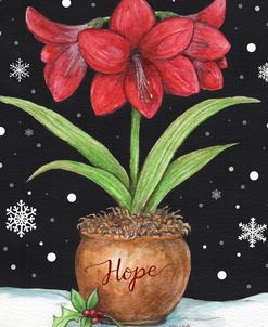 Amaryllis Flag Hope