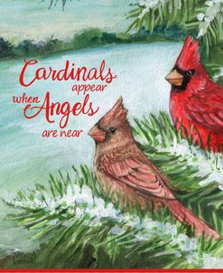Winter Cardinals Are Angels