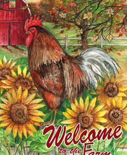 Welcome to the Farm Rooster and Barn