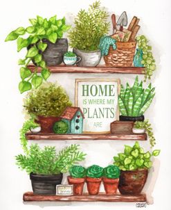 Home Is Where My Plants Are Shelves