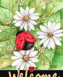 Ladybug and Daisy