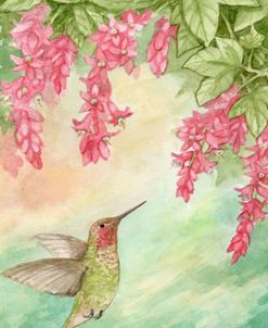 Hummingbird With Hanging Flowers