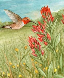 Hummingbird with Red Flowers