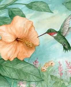 Hummingbird With Hibiscus Flower
