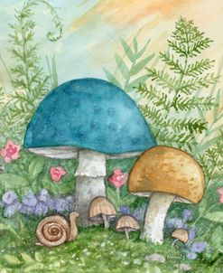 Forest Mushrooms and Snail Each Day