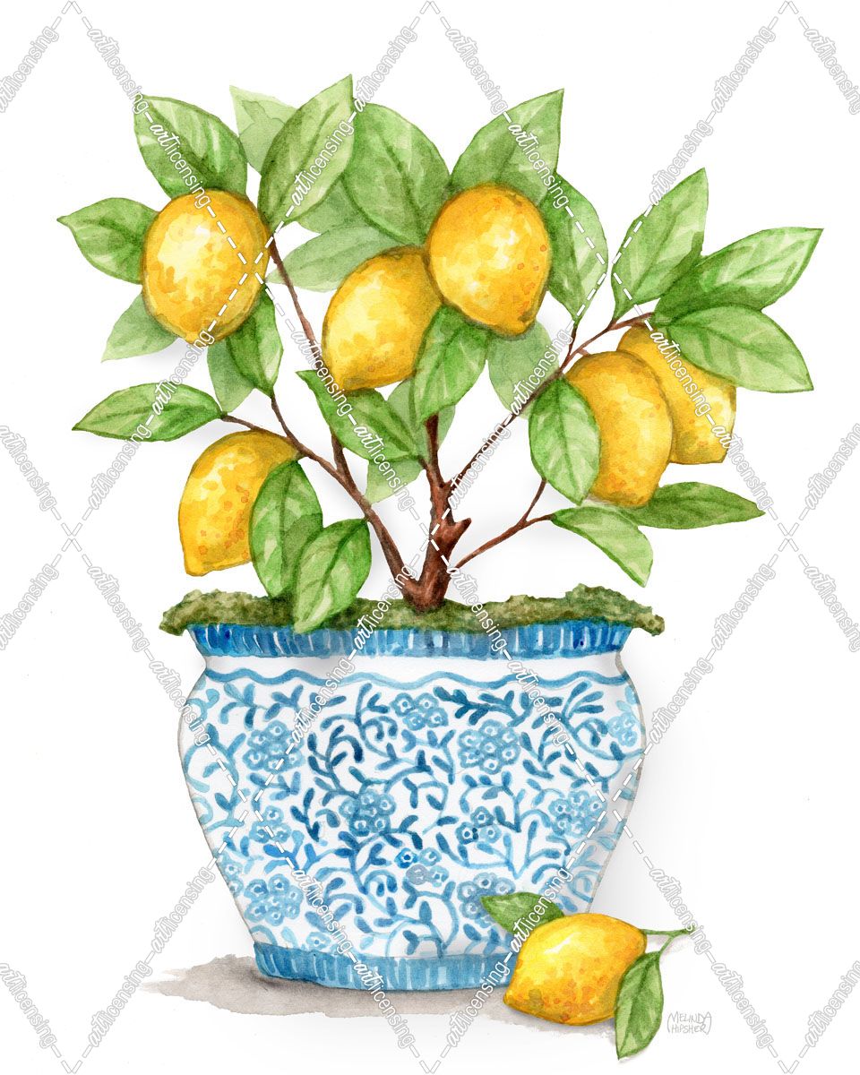 Lemon Tree In Blue With Trellis Pattern