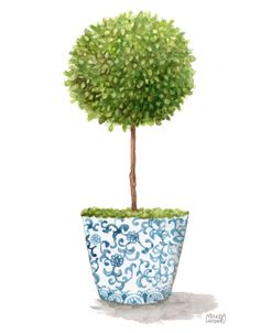 Topiary Single Tree In Chinoiserie Vase
