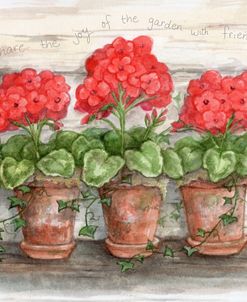 Share The Joy Of The Garden With Friends Geraniums