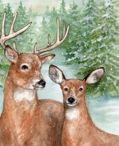 Deer Winter Wonderland Walk
