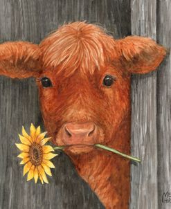 Sunflower Cow