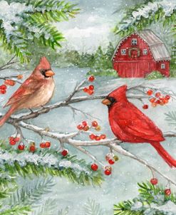 Winter Barnyard Cardinals