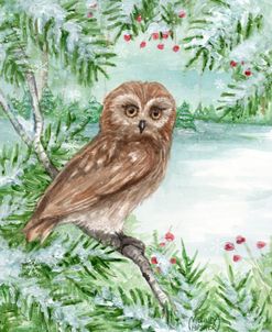 Woodland Owl In Winter Snow
