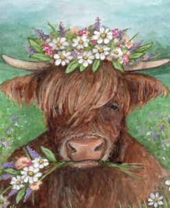 Daisy Meadow Highland Cow